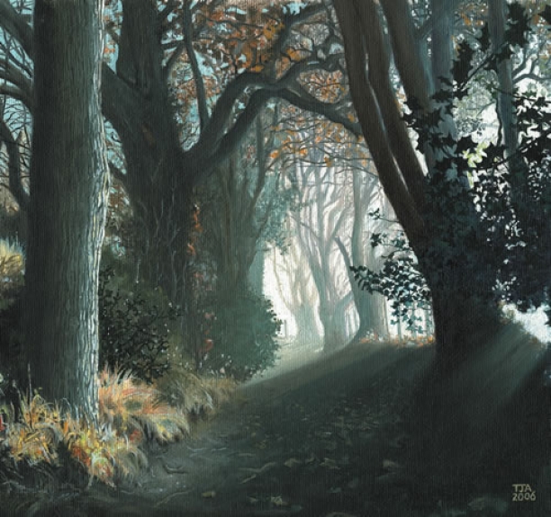 Paths & lanes Terence Ayling